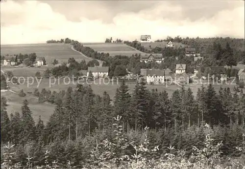 Schellerhau  Kat. Altenberg