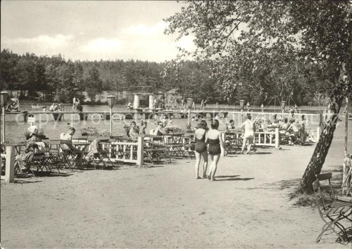 AK / Ansichtskarte Dahlen Sachsen Rathaus Waldbad Schmannewitz Alter