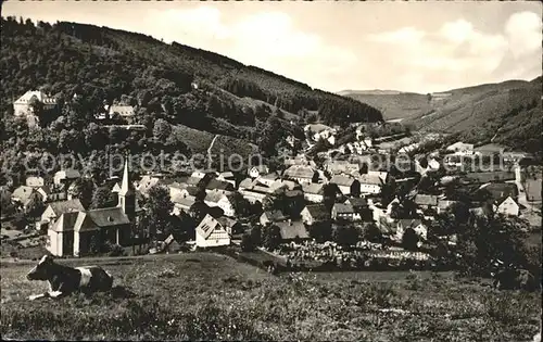 Bilstein Sauerland Kuh Ortsansicht / Lennestadt /Olpe LKR