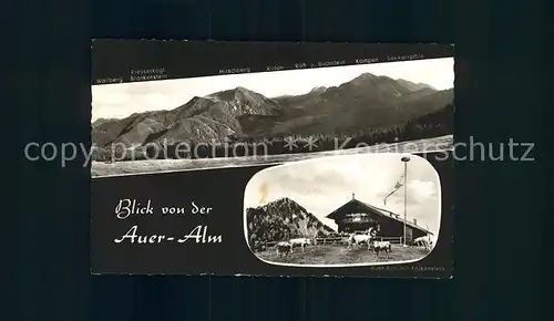 Bad Wiessee Berggasthof Auer Alm Riesserkogl Hirschberg Kampen Kat. Bad Wiessee