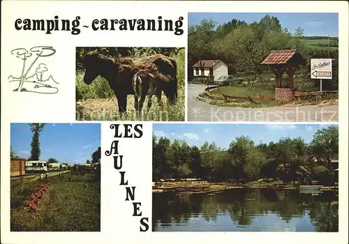 Hucqueliers Les Aulnes Camping Caravaning Pony Kat. Hucqueliers