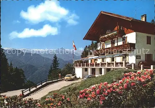 Waidring Tirol Alpengasthof Steinplatte Blick gegen Kitzbueheler Horn Hohe Tauern Blumen Kat. Waidring