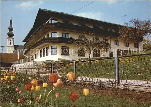 Waldzell Oberoesterreich Gasthof Pension Georgshof Tulpen Kat. Waldzell