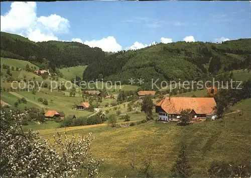 Oberentersbach Bauernhoefe Schwarzwald Kat. Zell am Harmersbach