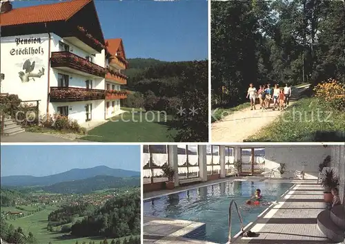 Grafenau Niederbayern Pension Stoecklholz Hallenbad Wandern Bayerischer Wald Kat. Grafenau