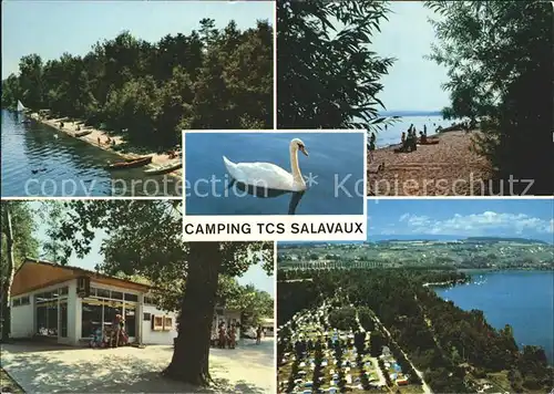 Salavaux Camping TCS Lac de Morat Schwan Kat. Salavaux