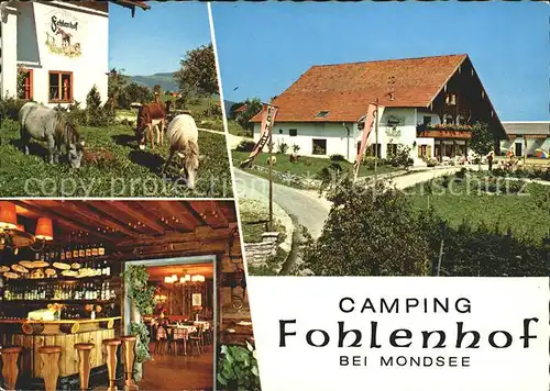 Mondsee Salzkammergut Camping Fohlenhof Restaurant Bar0 Kat. Mondsee
