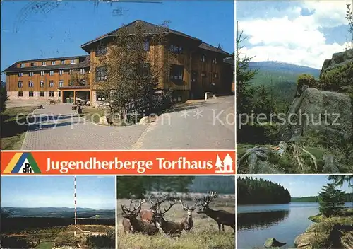 Torfhaus Harz Jugendherberge Torfhaus Sendemast Hirsche See Kat. Altenau