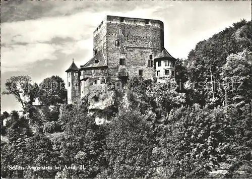 Aesch BL Schloss Angenstein Kat. Aesch BL