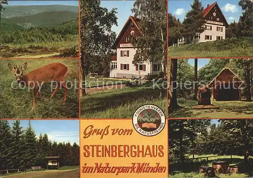 Muenden Steinberghaus Naturpark Reh  Kat. Lichtenfels