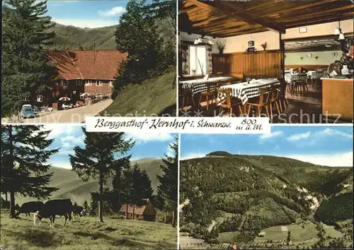 Seebach Ortenaukreis Gasthof Pension Kernhof Kuehe Kat. Seebach