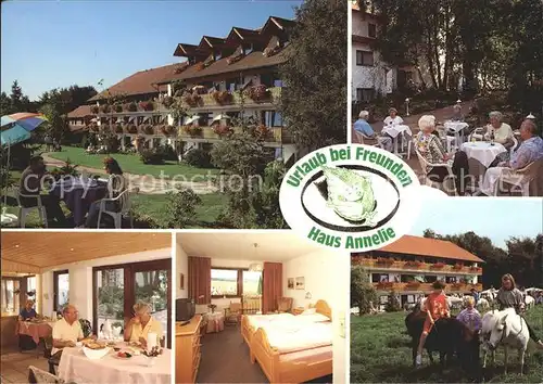 Holzhausen Luebbecke Pension Haus Annelie Wiehengebirge Pony Kat. Preussisch Oldendorf