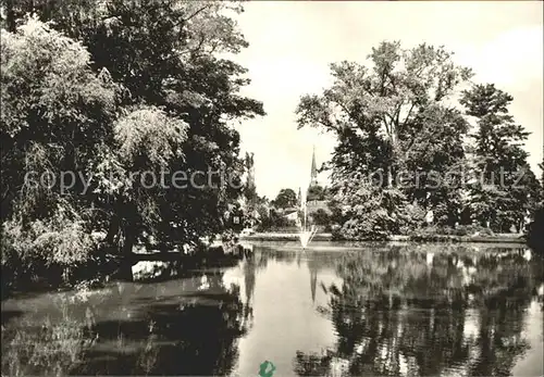 Neustadt Sachsen Stadtpark Weiher Kat. Neustadt Sachsen