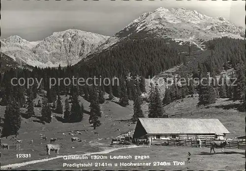 Leutasch Gaistalalm Predigtstuhl Hochwanner  Kat. Leutasch Tirol