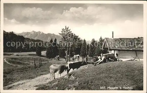 Aschau Chiemgau Maisalm Kat. Aschau i.Chiemgau