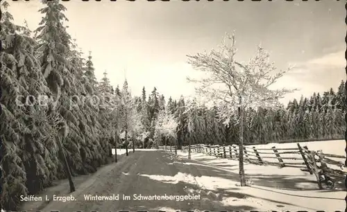 Seiffen Erzgebirge Winterwald im Schwartenberggebiet Kat. Kurort Seiffen Erzgebirge