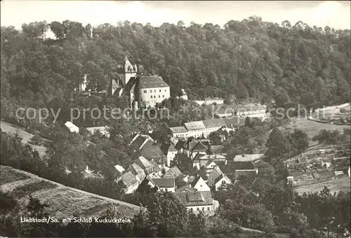 Liebstadt Schloss Kuckuckstein Kat. Liebstadt