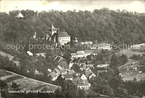 Liebstadt Schloss Kuckuckstein Kat. Liebstadt