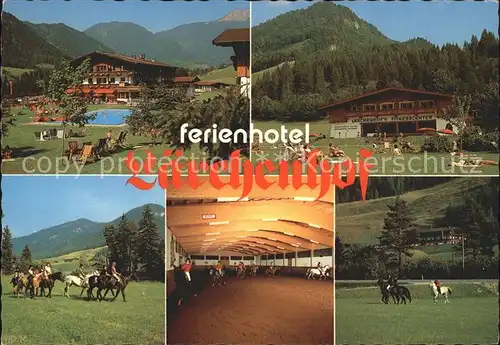 Erpfendorf Ferienhotel Laerchenhof Kat. Kirchdorf in Tirol