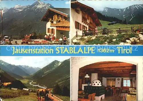 Elmen Tirol Jausenstation Stablalpe Kuh / Elmen /Reutte