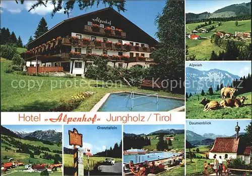 Jungholz Tirol Hotel Alpenhof Panorama Grenztafeln Swimmingpool Daumenblick Viehweide Kat. Jungholz