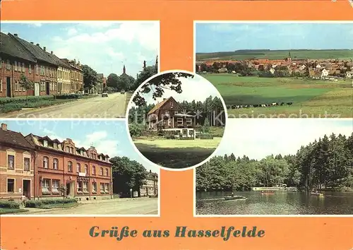 Hasselfelde Breite Str Panorama FDGB Erholungsheime Tannenwald und Zur Krone Gondelteich Kat. Hasselfelde