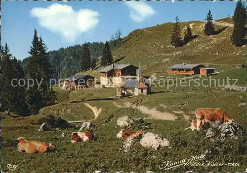 Kaindlhuette Schutzhaus Kaisergebirge Kuehe Kat. Wildermieming