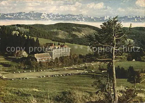 Feldberg Schwarzwald Hotel Feldbergerhof mit Alpensicht Kat. Feldberg (Schwarzwald)