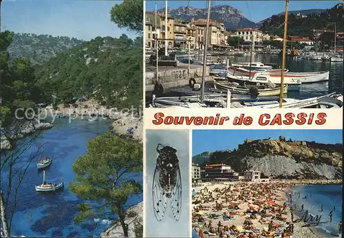 Cassis Calanque de Port Pin Plage Chateau Kat. Cassis