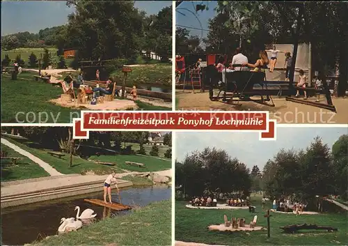 Wehrheim Familienfreizeitpark Ponyhof Lochmuehle Schwan Kat. Wehrheim