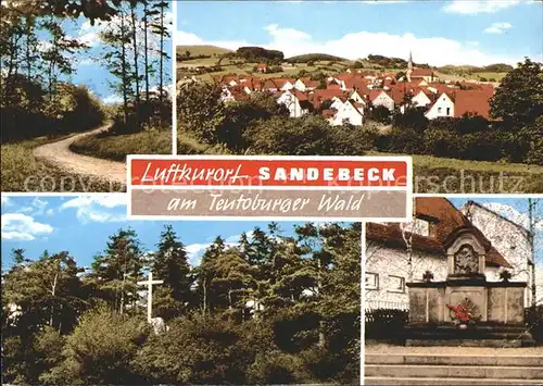 Sandebeck Teutoburger Wald Kreuz Waldweg Gedenkstein Kat. Steinheim
