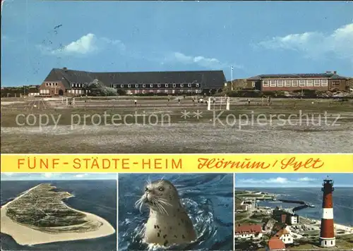 Hoernum Sylt Fuenf Staedte Heim Seehund Leuchtturm Fliegeraufnahme Kat. Hoernum (Sylt)