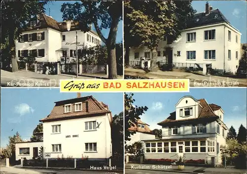 Bad Salzhausen Kurpensionen Kurheim Kat. Nidda