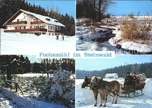 Fuchsmuehl Naturpark Steinwald Pferdeschlitten Kat. Fuchsmuehl