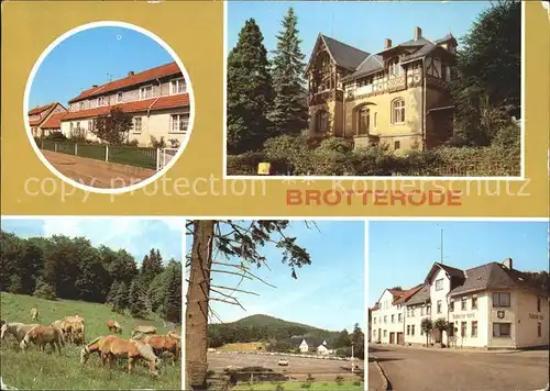 Brotterode Siedlerstrasse Jugendherberge Haflinger Grosser Inselsberg Gaststaette Kat. Brotterode