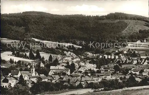 Waldmichelbach im Odenwald Panorama Kat. Wald Michelbach