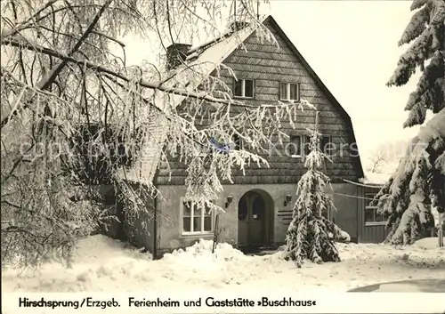 Hirschsprung Ferienheim und Gaststaette Buschhaus Kat. Altenberg