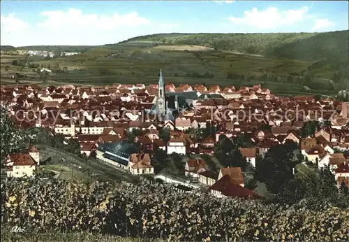 Hardheim Odenwald Panorama Kat. Hardheim