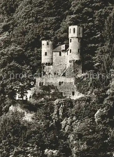 Neckarsteinach Burg Schadeck Burg Schwalbennest Kat. Neckarsteinach