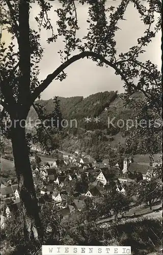 Wiesensteig Gasthof Pension zur Post Kat. Wiesensteig