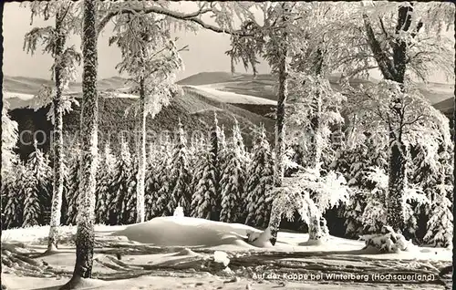Winterberg Hochsauerland Auf der Kappe Winterpanorama Kat. Winterberg