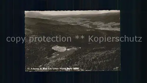 Arbersee mit Blick zum Lamer Winkel Kat. Bayerisch Eisenstein