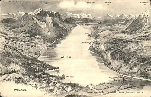 Walensee und Umgebung Panoramakarte Kat. Walenstadt