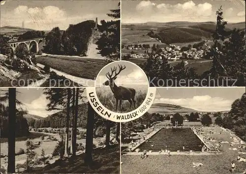 Usseln Bruecke Panorama Schwimmbad Hirsch Kat. Willingen (Upland)