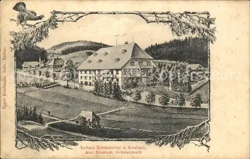 Schollach Eisenbach (Hochschwarzwald) Kurhaus Schneckenhof / Eisenbach (Hochschwarzwald) /Breisgau-Hochschwarzwald LKR