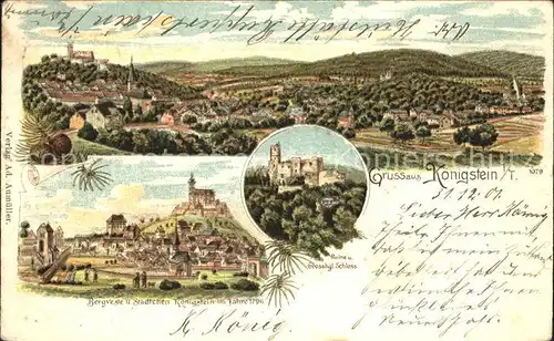 Koenigstein Taunus Ruine Grossherzogliches Schloss / Koenigstein im Taunus /Hochtaunuskreis LKR