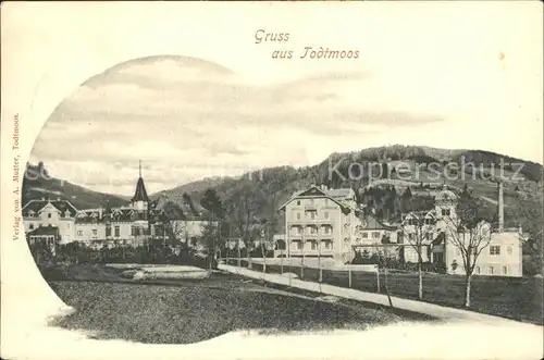 Todtmoos Stadtansicht / Todtmoos /Waldshut LKR