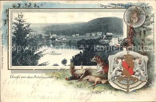 Titisee  / Titisee-Neustadt /Breisgau-Hochschwarzwald LKR