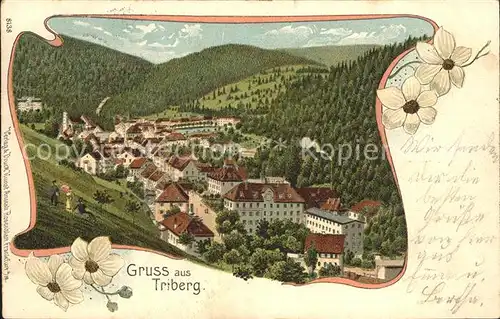 Triberg Schwarzwald Totalansicht Litho  / Triberg im Schwarzwald /Schwarzwald-Baar-Kreis LKR