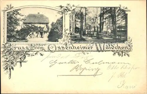 Ossenheim Ossenheimer Waeldchen  / Friedberg (Hessen) /Wetteraukreis LKR